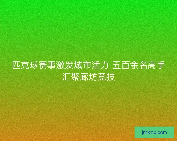 匹克球赛事激发城市活力 五百余名高手汇聚廊坊竞技